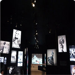 青靈國(guó)際國(guó)際業(yè)務(wù)VOGUE活動(dòng)